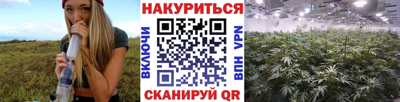 Бошки марихуана тримм  где можно купить   Новочеркасск 